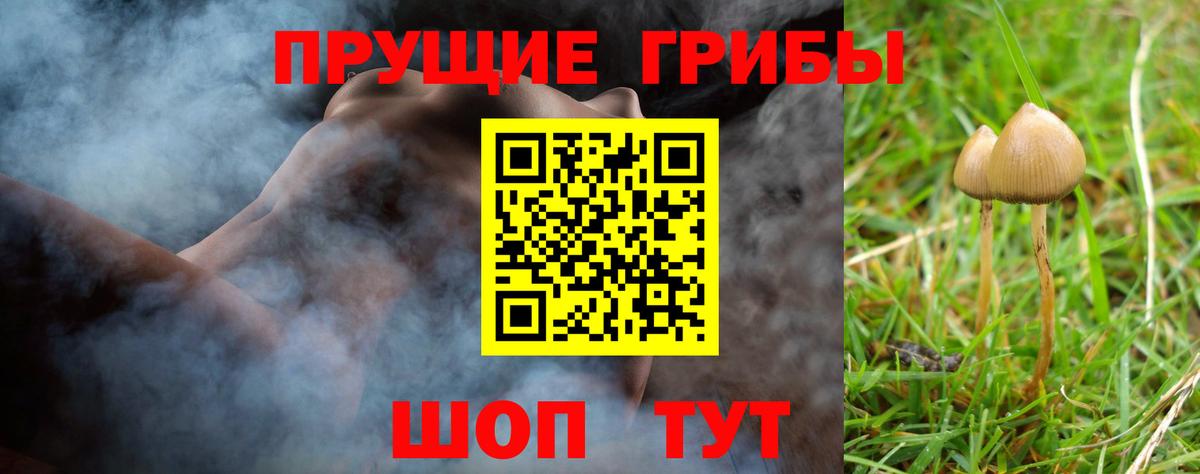 Псилоцибиновые грибы мухоморы Котельники