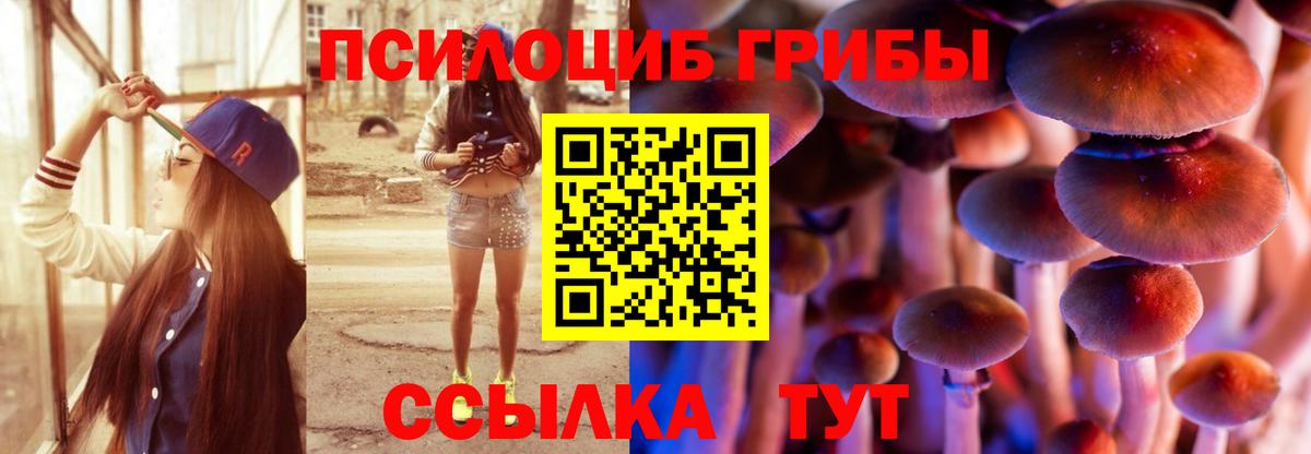 Галлюциногенные грибы Psilocybe  Галлюциногенные грибы Cubensis  Котельники  Вход с VPN 
